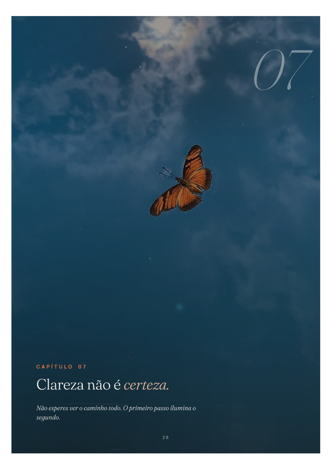 Capítulo VII · Clareza não é certeza